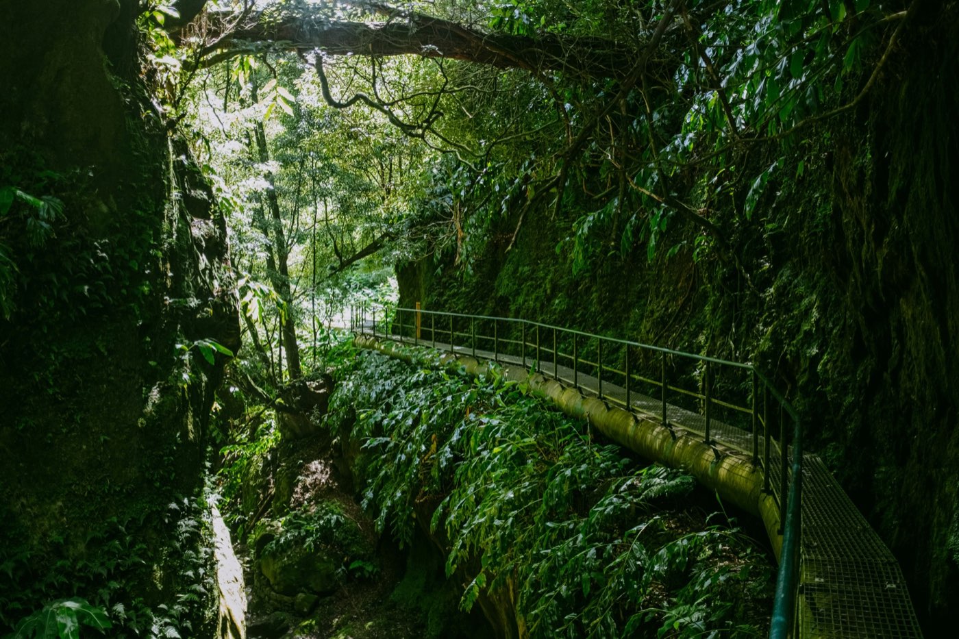 Foto 1 | Levadas di Madeira: trekking sull'isola più verde del Portogallo