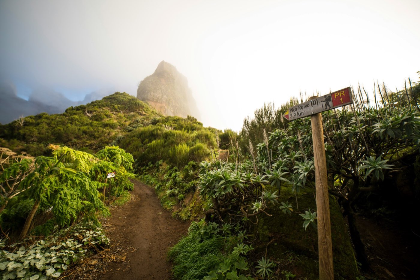 Foto 4 | Levadas di Madeira: trekking sull'isola più verde del Portogallo